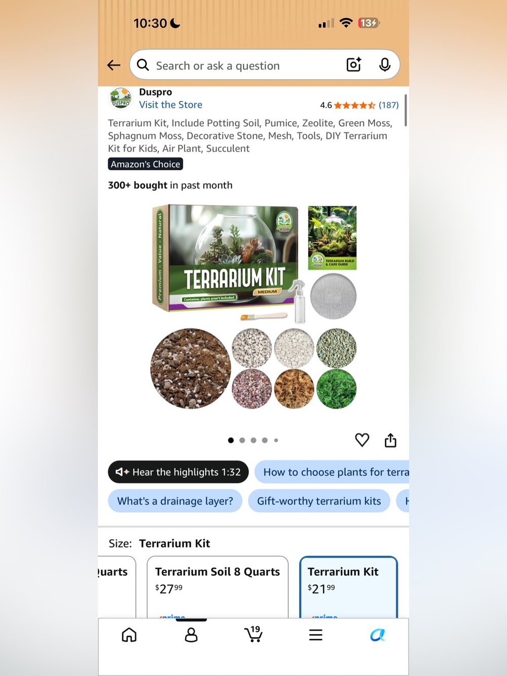 Terrarium Kit with Decorative Moss & Stones - Green Accents